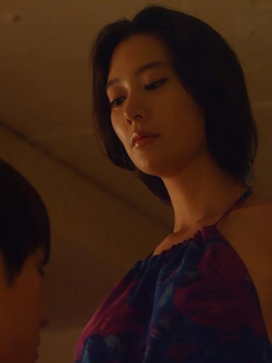 成人视频入口下载页面